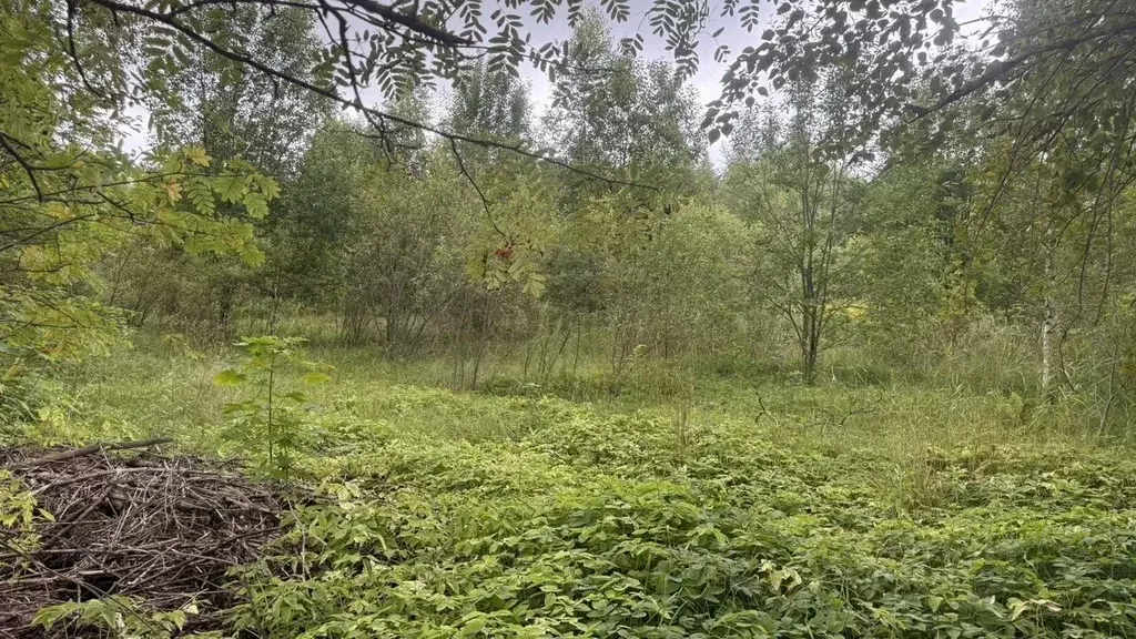 Участок в Ленинградская область, Всеволожск Румболово мкр,  (15.0 ... - Фото 1