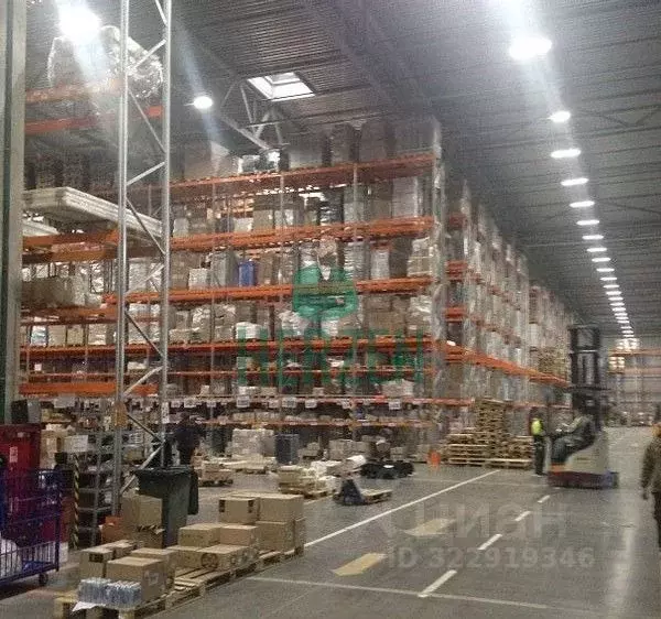 Склад в Московская область, Домодедово Востряково мкр, ул. Рябиновая, ... - Фото 2