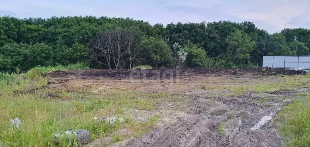 Купить Землю В Ленинском Районе