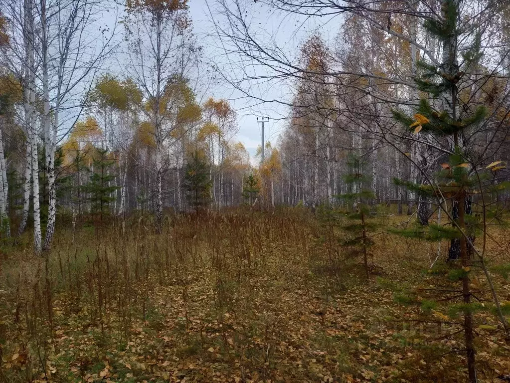 Участок в Челябинская область, Сосновский район, Кременкульское с/пос, ... - Фото 0