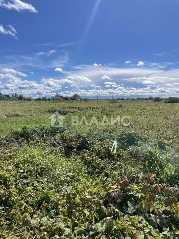 Участок в Новгородская область, Старорусский район, Наговское с/пос, ... - Фото 1