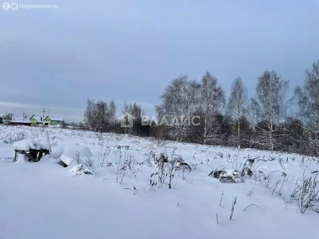 Участок в городской округ Нижний Новгород, деревня Подвалиха (20.5 м) - Фото 1
