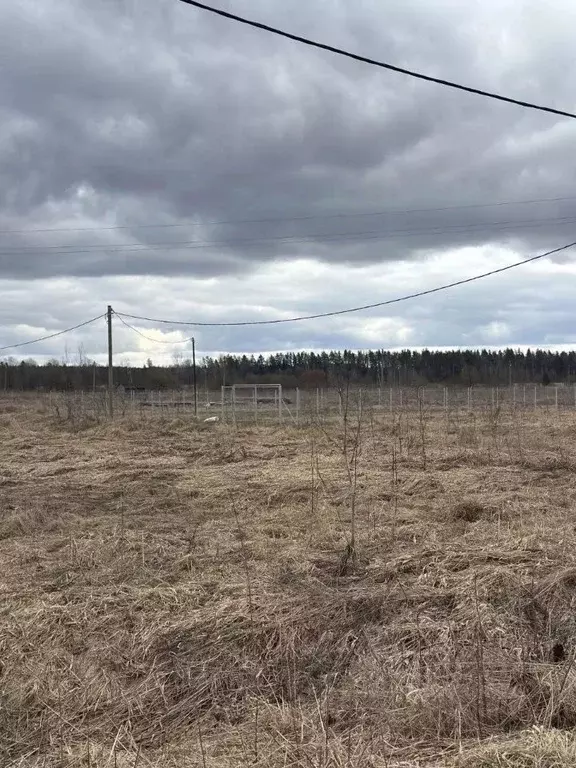Участок в Ленинградская область, Тосненское городское поселение, Новое ... - Фото 1