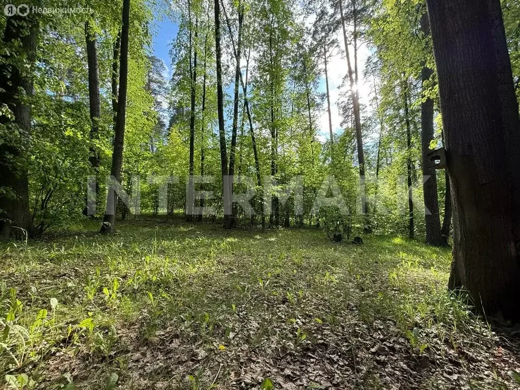 Участок в Москва, Одинцовская улица (30 м) - Фото 1