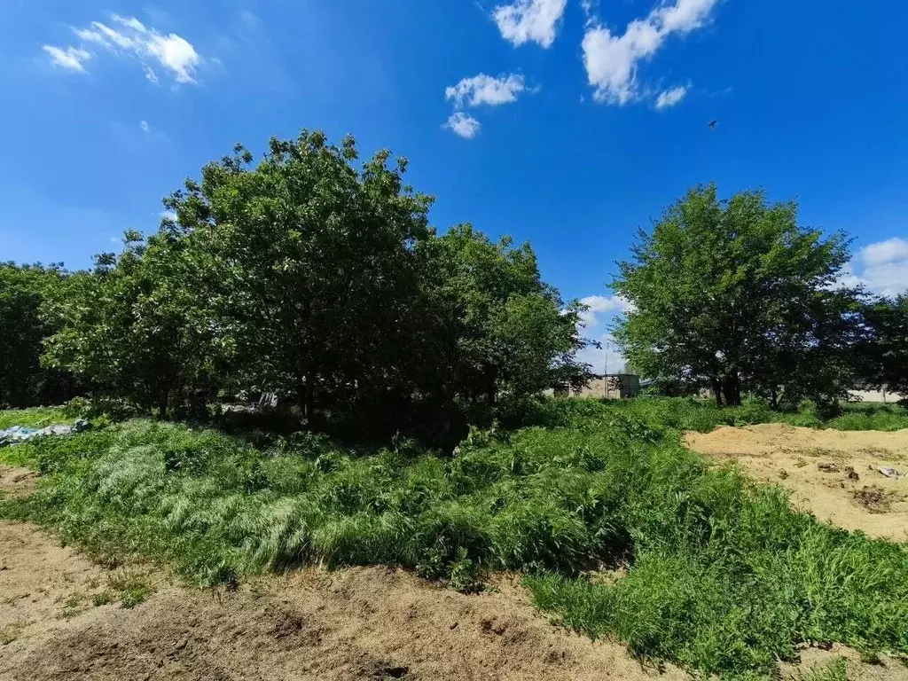 Участок в Краснодарский край, Северский район, Львовское с/пос, с. ... - Фото 1