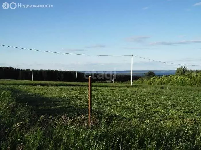 Участок в Тукаевский район, Малошильнинское сельское поселение, село ... - Фото 1