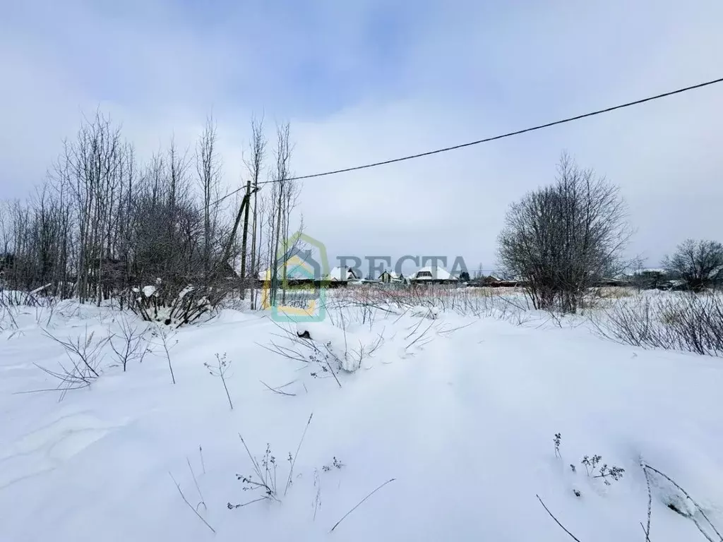 Участок в Ленинградская область, Гатчинский муниципальный округ, д. ... - Фото 2