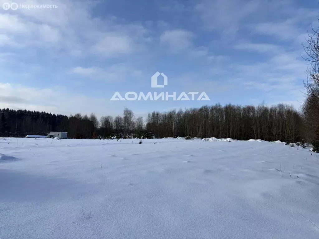 Участок в Волосовский район, Калитинское сельское поселение, деревня ... - Фото 2