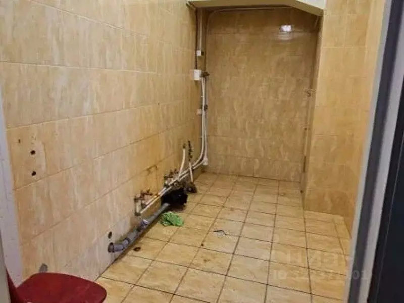 Офис в Санкт-Петербург Сердобольская ул., 64к1 (277 м) - Фото 2