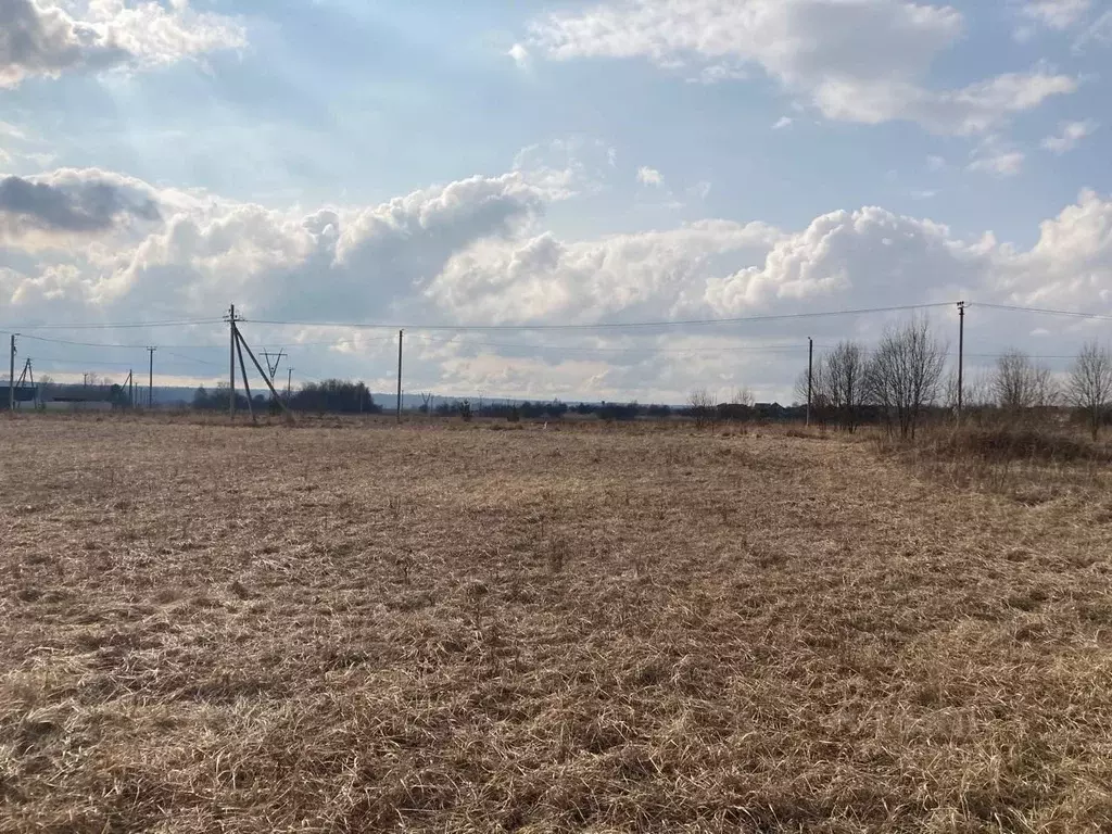 Участок в Московская область, Серпухов городской округ, д. Лисенки  ... - Фото 1