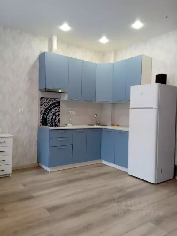 Свободной планировки кв. Москва Березовая аллея, 19к2 (25.0 м) - Фото 2