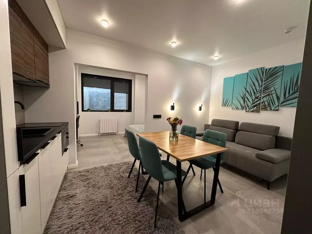 Студия Краснодарский край, Сочи Курортный просп., 96Г (30.0 м) - Фото 2