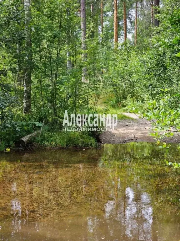 Дом в Карелия, Лахденпохский муниципальный округ, Район поселка ... - Фото 2