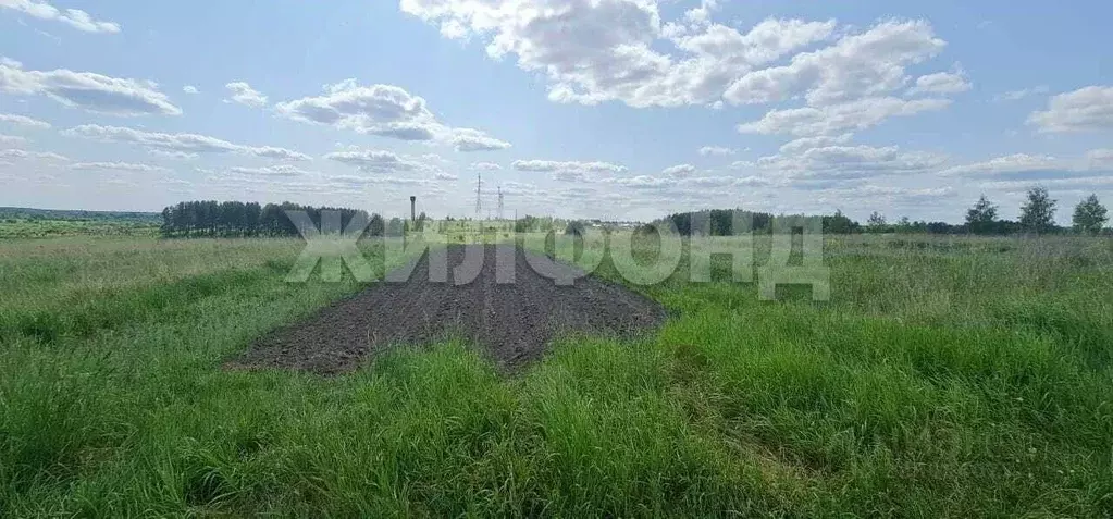 Участок в Брянская область, с. Жирятино ул. Возликова (15.0 сот.) - Фото 0