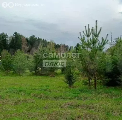 Участок в Пасеговское сельское поселение, деревня Глушонки (85.06 м) - Фото 0