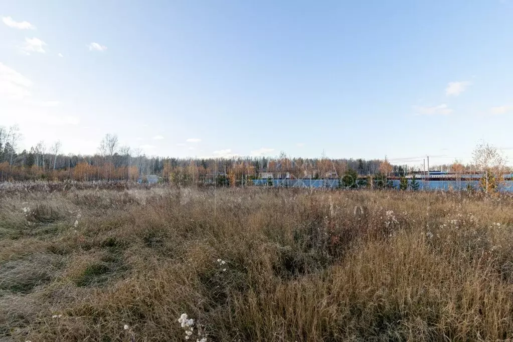 Участок в Тюменская область, Тюменский муниципальный округ, с. Кулига  ... - Фото 1