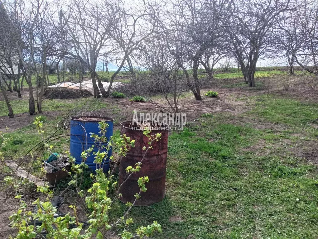 Участок в Ленинградская область, Волховский район, Колчановское с/пос, ... - Фото 1