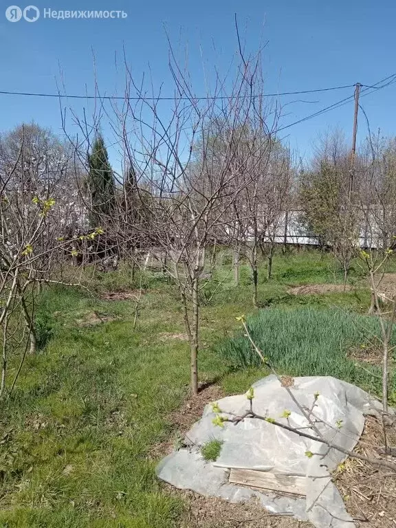 Участок в Краснодарский край, городской округ Сочи, село Нижняя ... - Фото 0