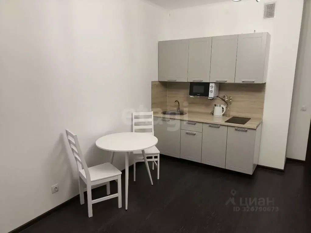 Студия Санкт-Петербург аллея Арцеуловская, 15 (25.0 м) - Фото 2