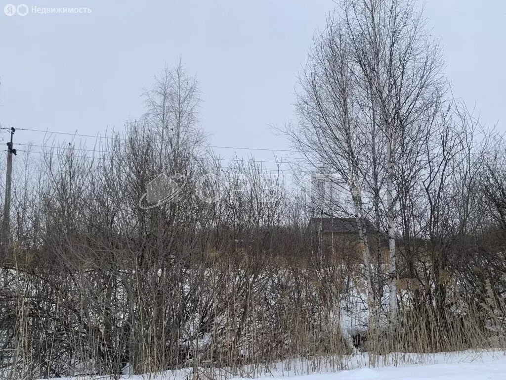 Участок в Тюмень, садовое товарищество Берёзка (10 м) - Фото 0