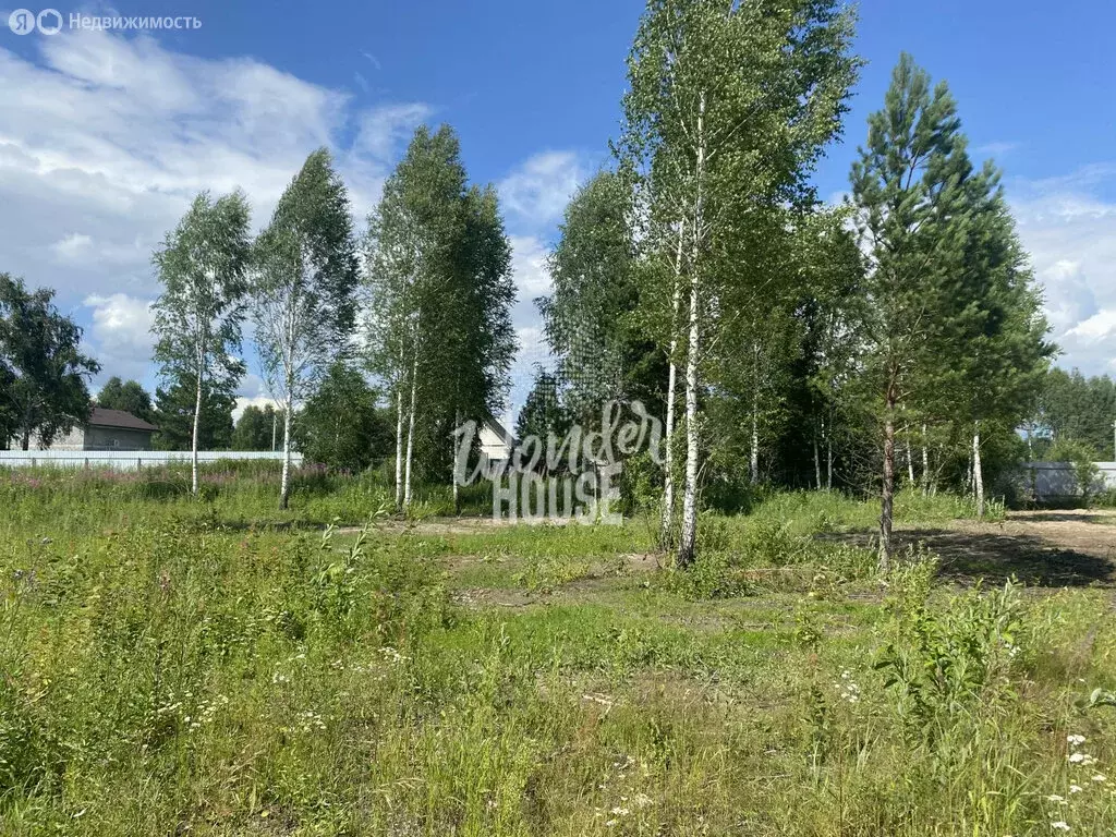 Участок в Нижнетавдинский район, садоводческое некоммерческое ... - Фото 0