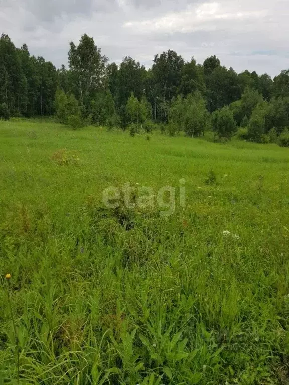 Участок в Красноярский край, Емельяновский район, Солонцовский ... - Фото 0