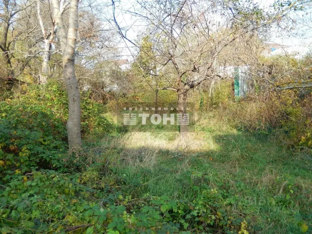 Участок в Краснодарский край, Геленджик Голубая Бухта мкр, ул. Ольги ... - Фото 0