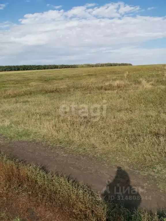 Участок в Башкортостан, Нуримановский район, Красногорский сельсовет, ... - Фото 0