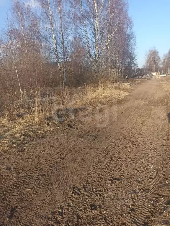 Участок в Костромская область, Красное-на-Волге пгт, пос. Птицефабрика ... - Фото 1