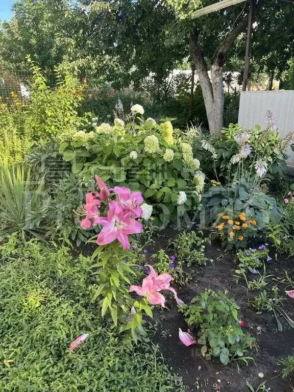 Дом в Курская область, Курский район, Новопоселеновский сельсовет, ... - Фото 2