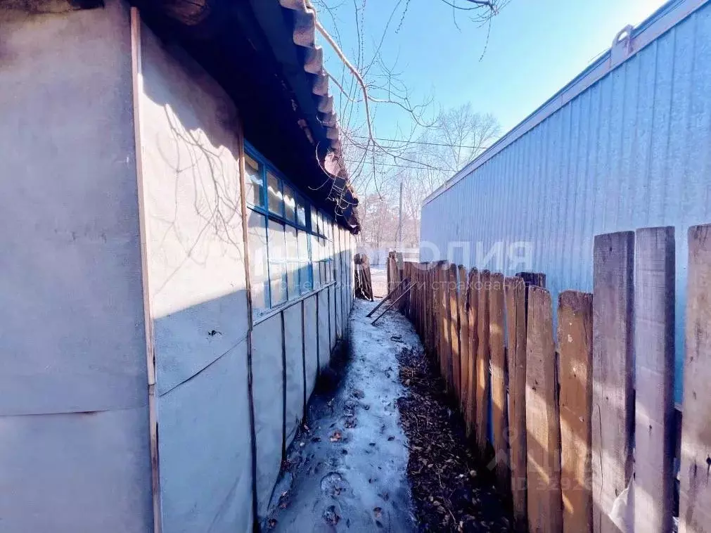 Дом в Амурская область, Белогорск Новая ул., 31 (36 м) - Фото 2