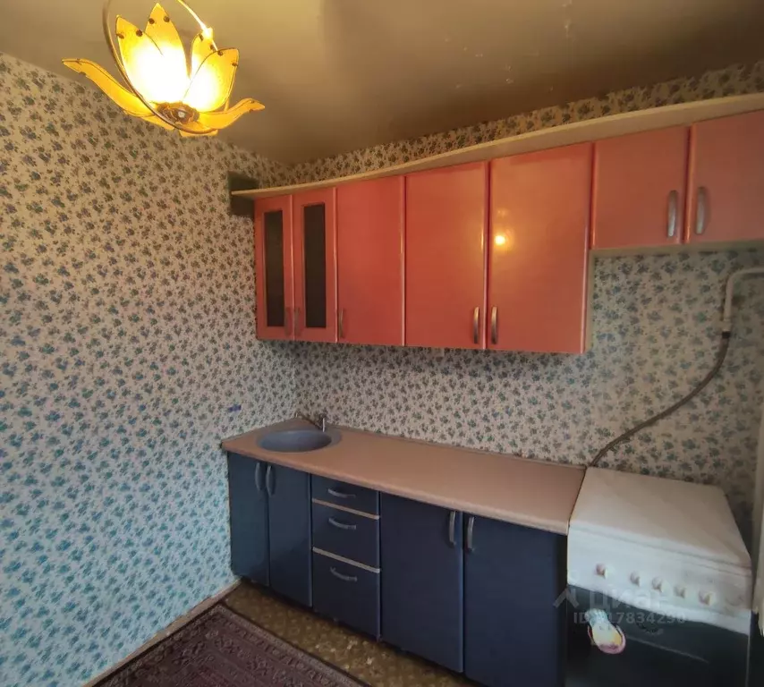 1-к кв. Нижегородская область, Балахна ул. Дзержинского, 106 (33.9 м) - Фото 1