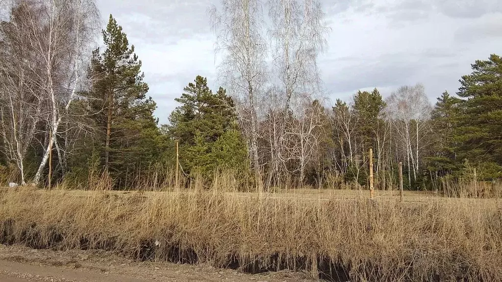 Участок в Красноярский край, Емельяновский район, Элитовский ... - Фото 1