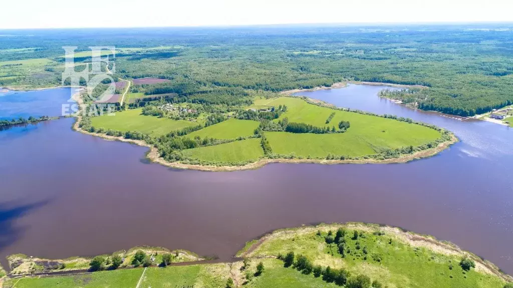 Участок в Ярославская область, Угличский муниципальный округ, д. ... - Фото 2