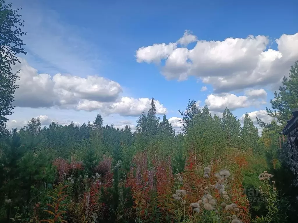 участок в свердловская область, сысертский городской округ, пос. . - Фото 0