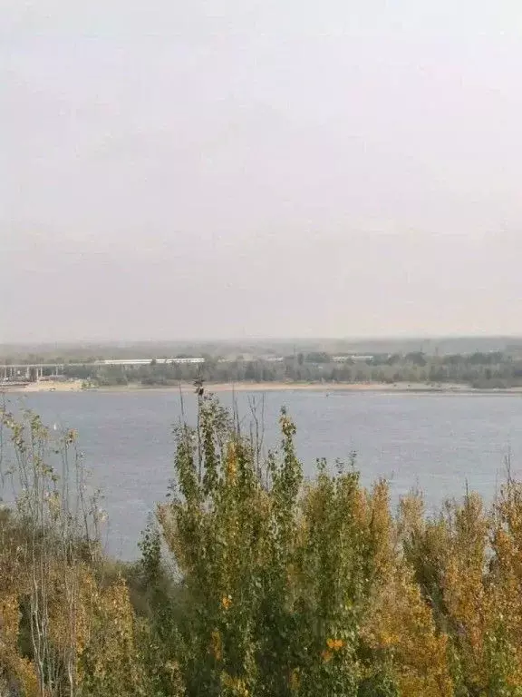 1-к кв. Волгоградская область, Волгоград ул. Маршала Чуйкова, 37 (38.0 ... - Фото 2