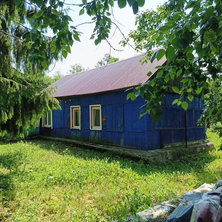 Дом в Рязанская область, Скопинский муниципальный округ, Побединка рп ... - Фото 1