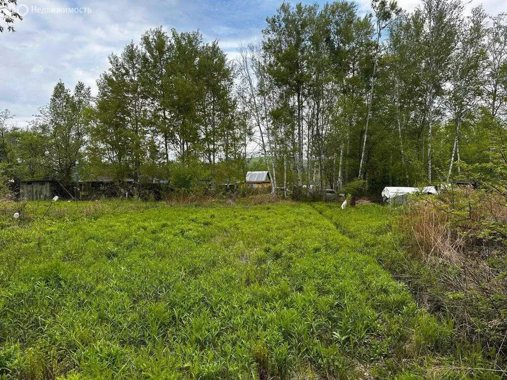 Участок в Хабаровский район, СНТ Автомобилист (8.5 м) - Фото 1