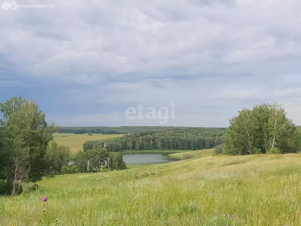 Участок в Ордынский район, посёлок Петровский (1690 м) - Фото 1