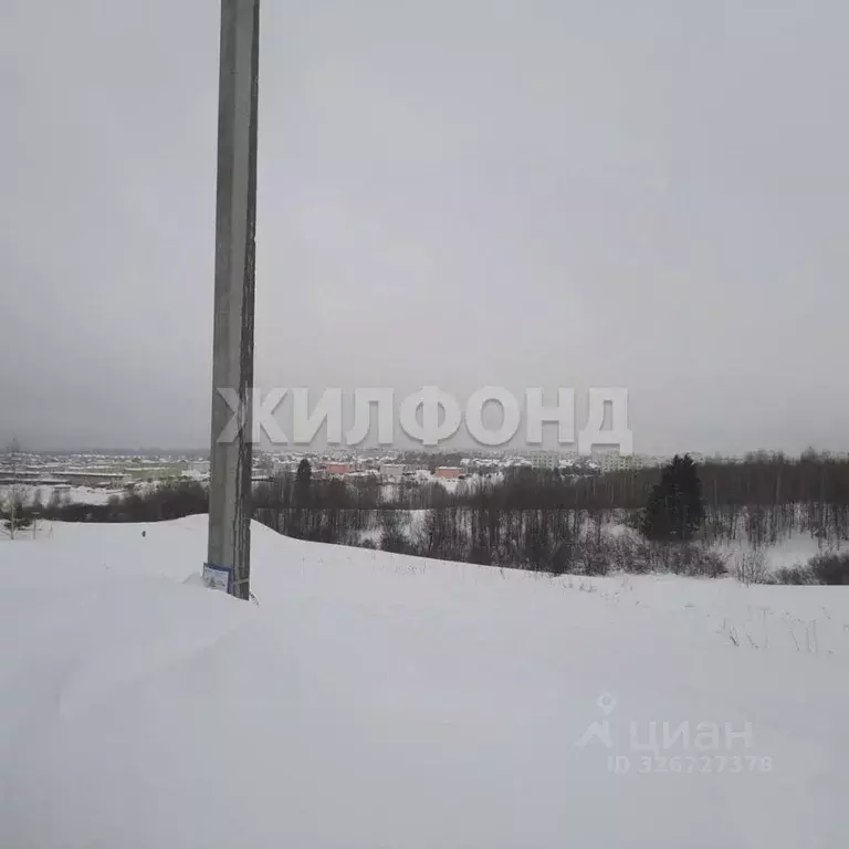 Участок в Кемеровская область, Кемерово Лесная Поляна жилрайон,  (10.0 ... - Фото 2