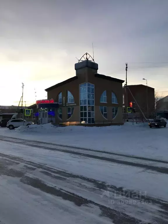 Помещение свободного назначения в Ямало-Ненецкий АО, Салехард ул. ... - Фото 0