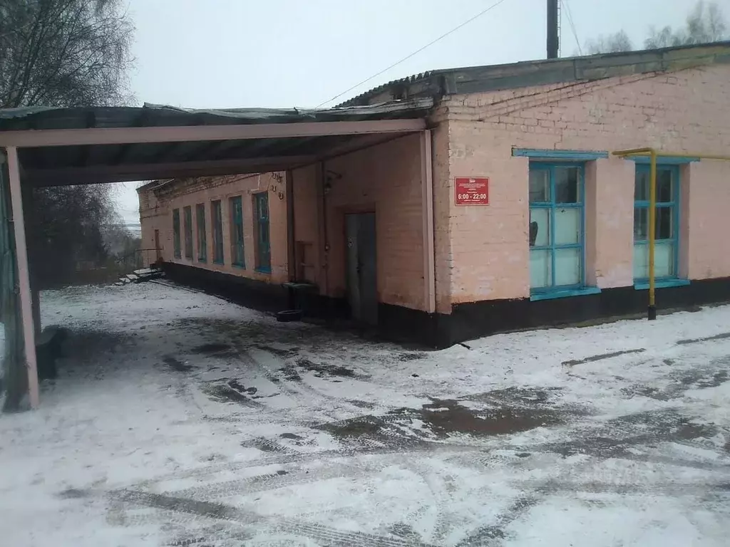 Производственное помещение в Орловская область, с. Знаменское ул. ... - Фото 1