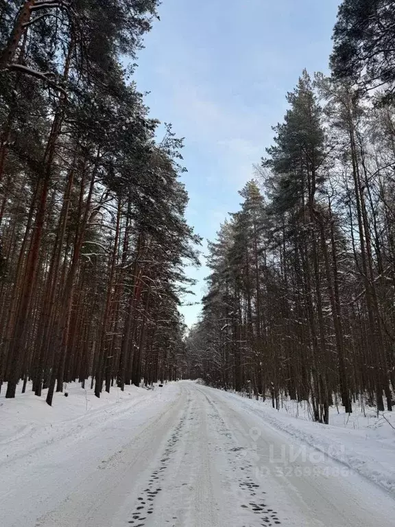 Дом в Ленинградская область, Ломоносовский район, Лебяженское ... - Фото 2