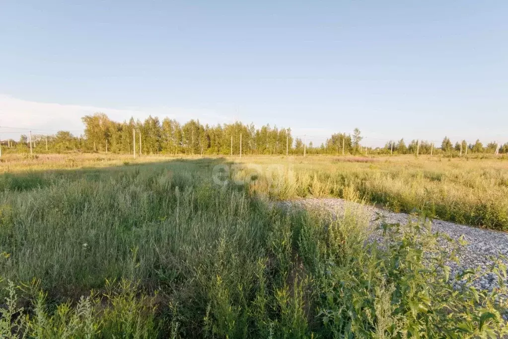 Участок в Тюменская область, Ишимский район, пос. Плодопитомник ул. ... - Фото 1