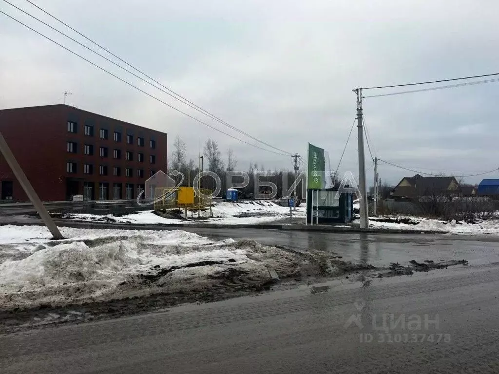 Участок в Тюменская область, Тюменский район, с. Горьковка Сибирская ... - Фото 0