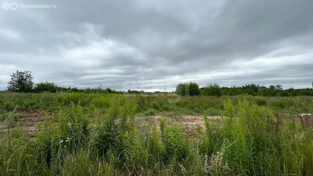 Участок в городской округ Нижний Новгород, деревня Студенец (5 м) - Фото 0