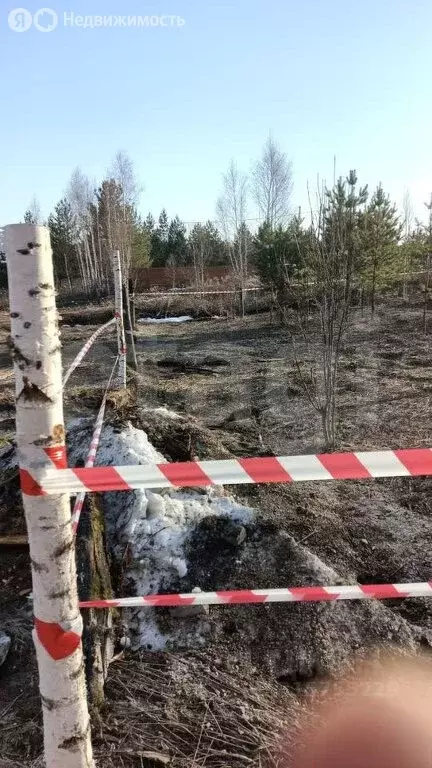 Участок в Зеленодольск, СНТ Трудовик (5 м) - Фото 2