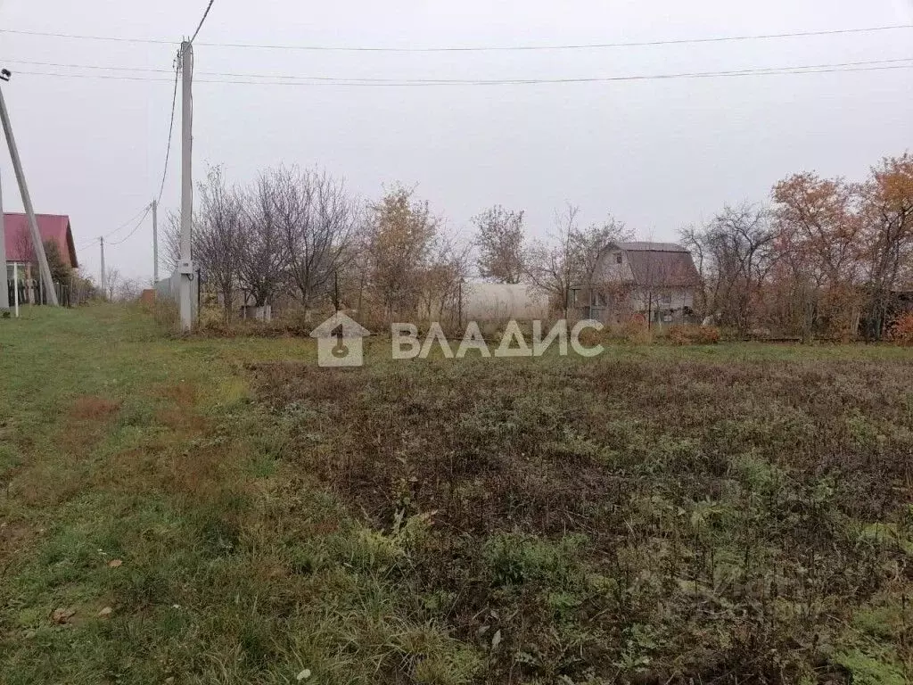 Участок в Владимирская область, Суздальский район, с. Новоалександрово ... - Фото 1