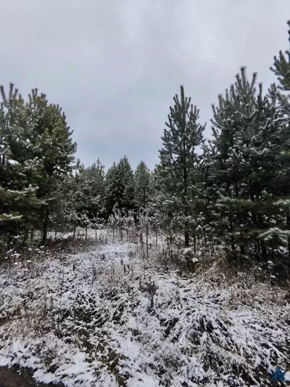 Участок в Свердловская область, Полевской муниципальный округ, с. ... - Фото 1