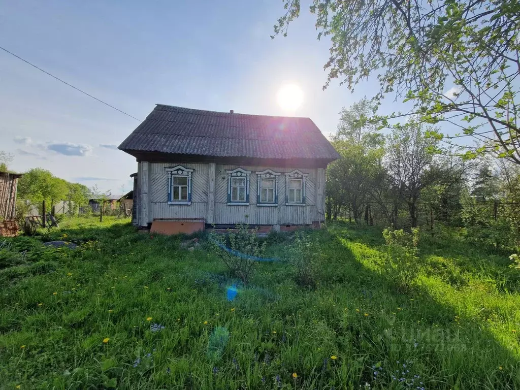Дом в Нижегородская область, Бор городской округ, д. Валки  (45 м) - Фото 0